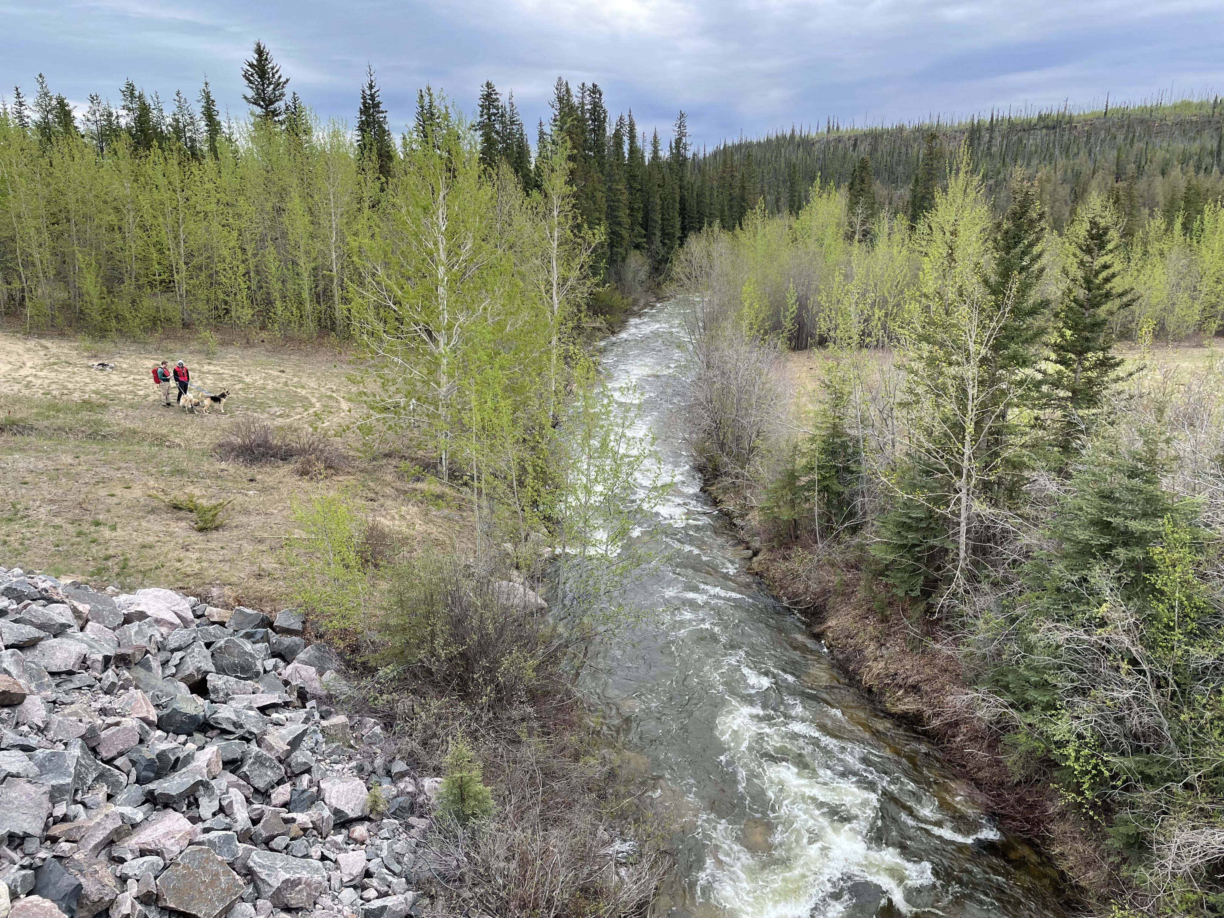 Mosquito Creek Mosquito Lake to bridge