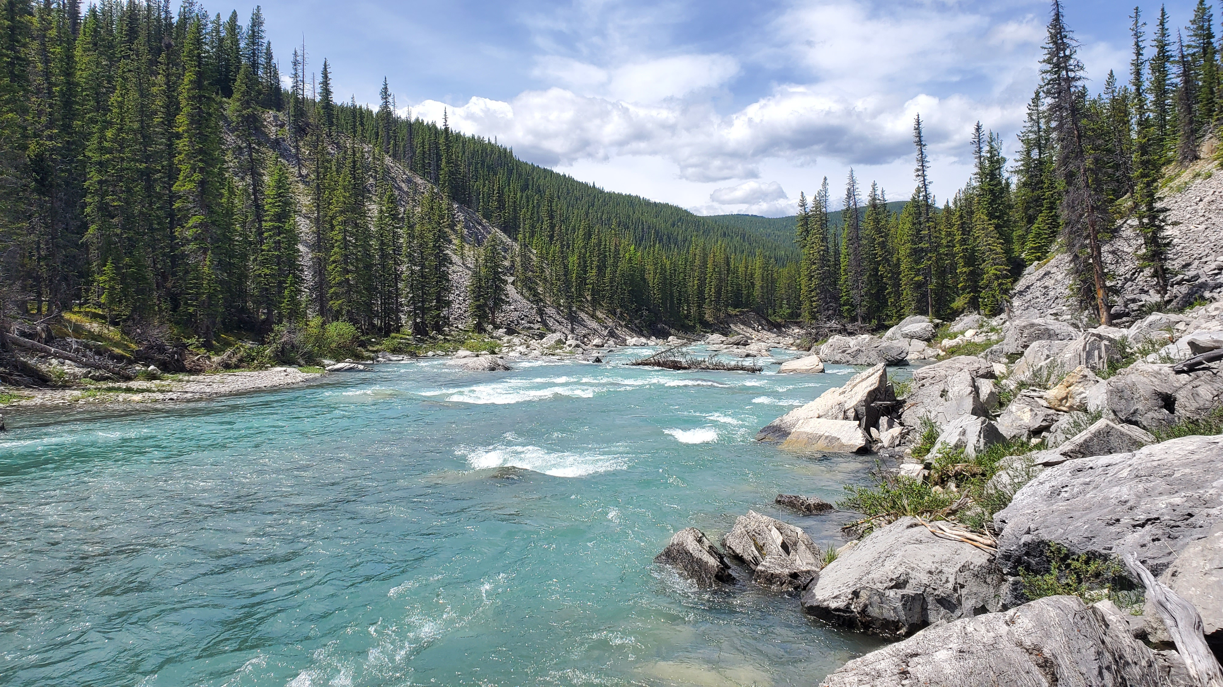 Elbow River Cobble Flats to Elbow Falls