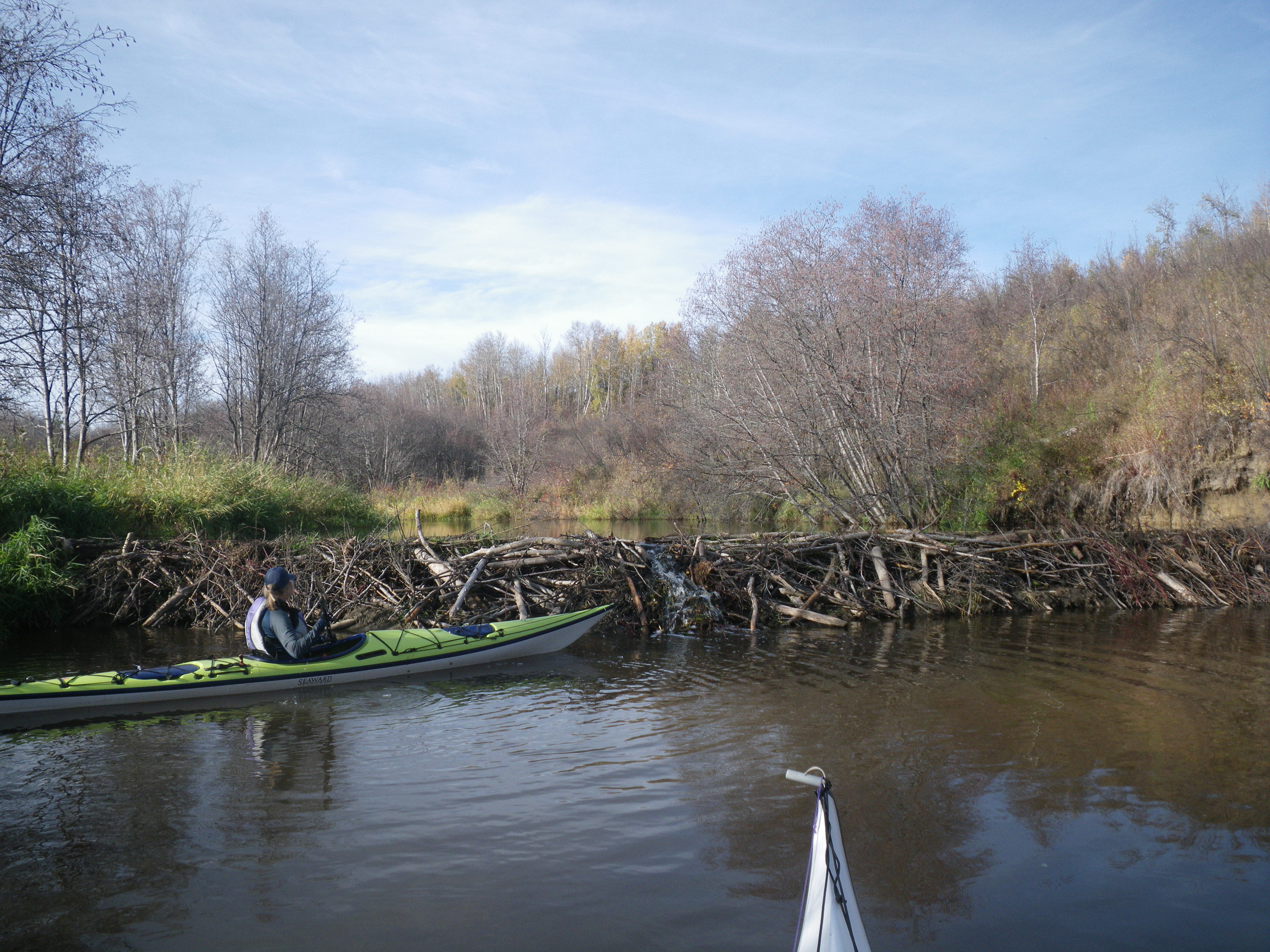 Pipestone Creek Coal Lake West