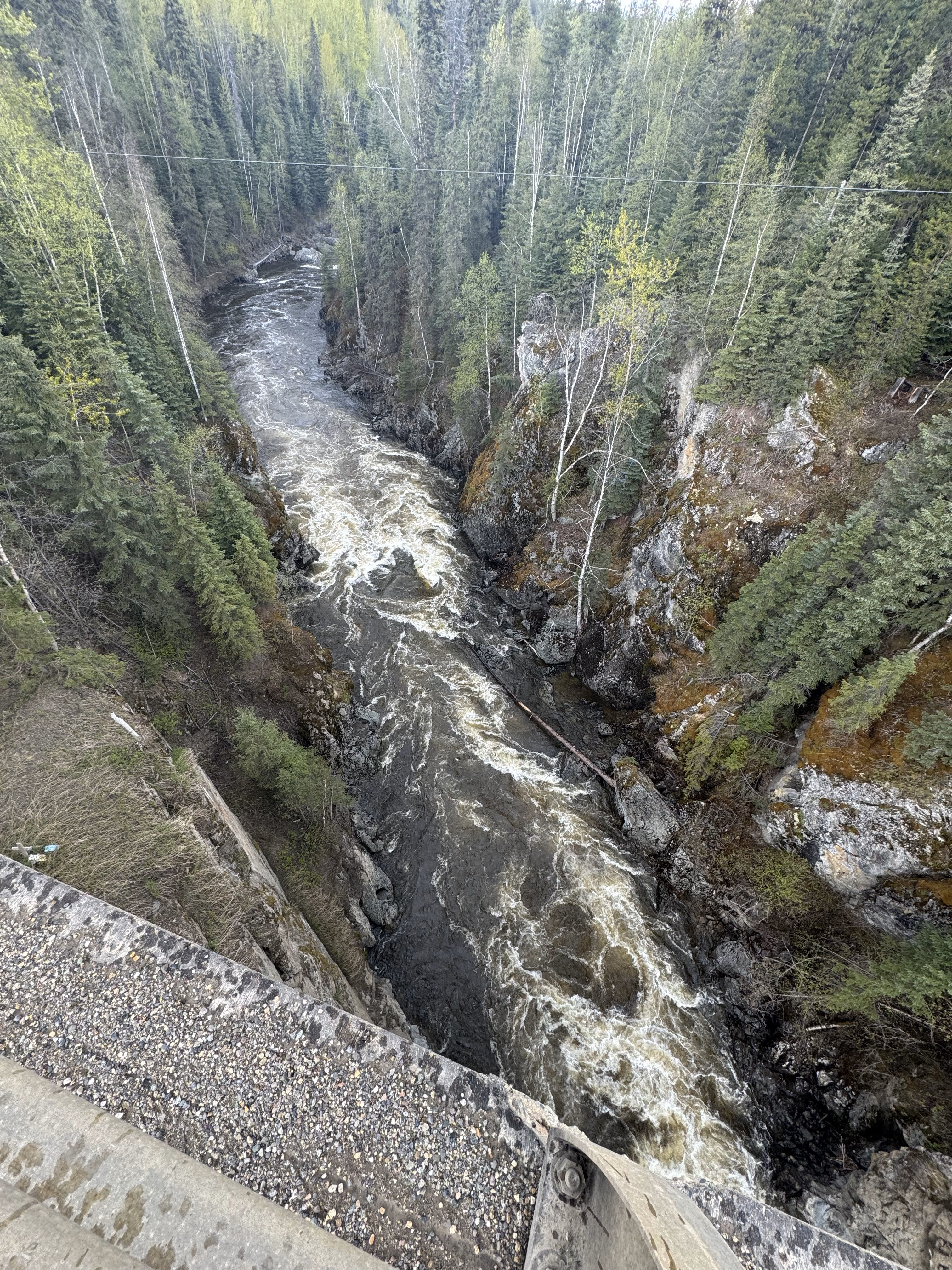 Willow River Lower