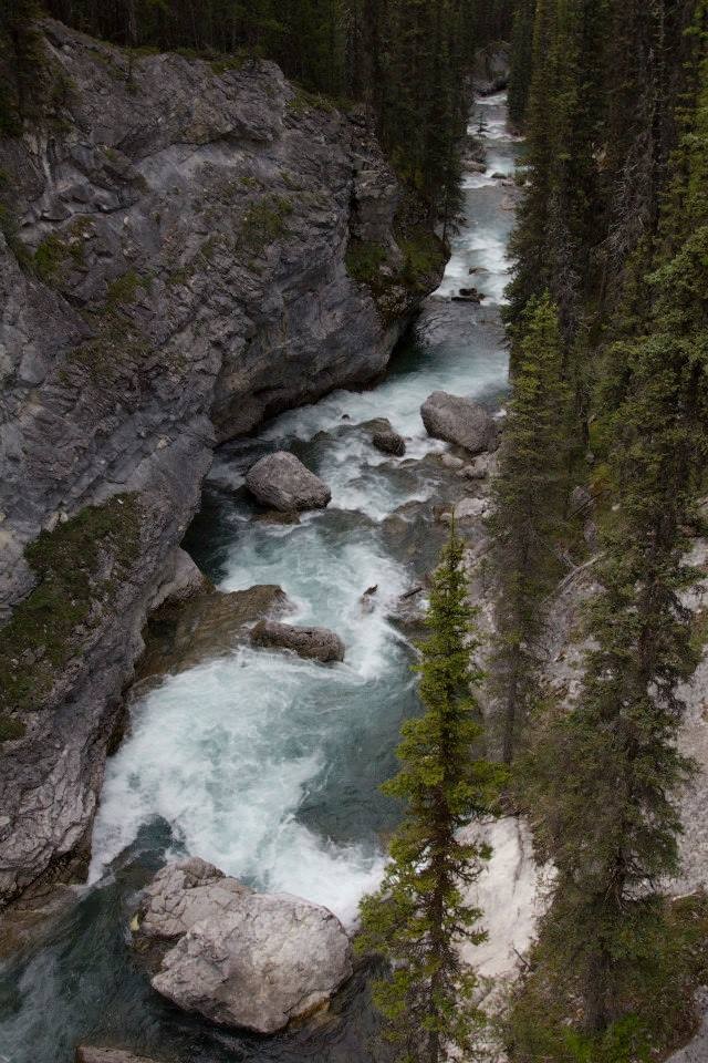Spray River Above Spray Lake