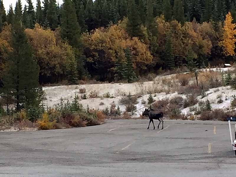 Lower Kananaskis Lake Boat Launch