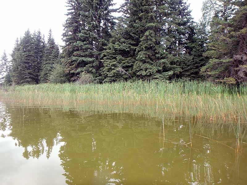 Crimson Lake Crimson Lake Provincial Park