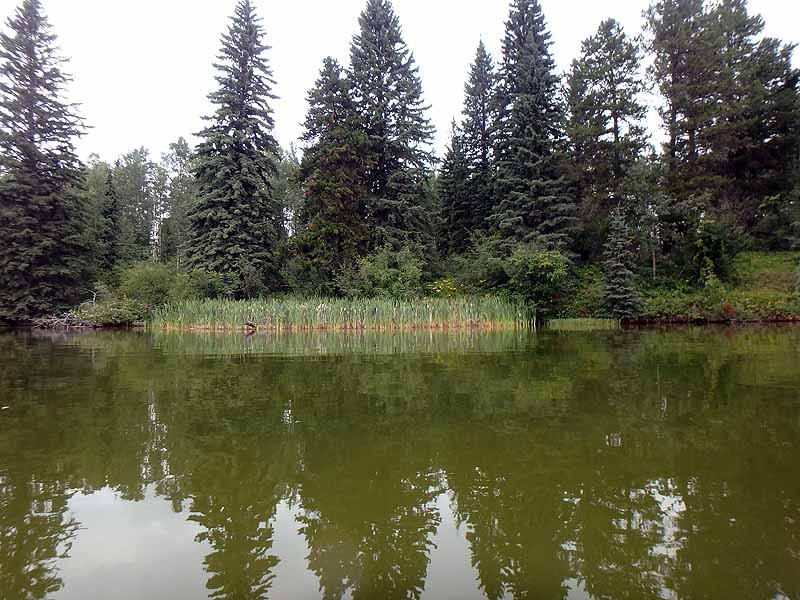 Crimson Lake Crimson Lake Provincial Park