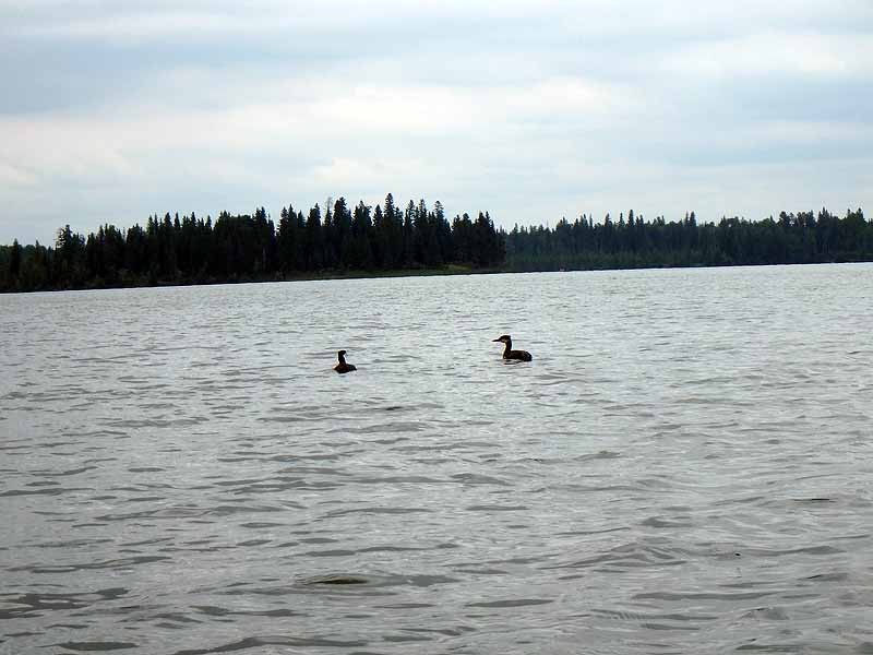 Crimson Lake Crimson Lake Provincial Park