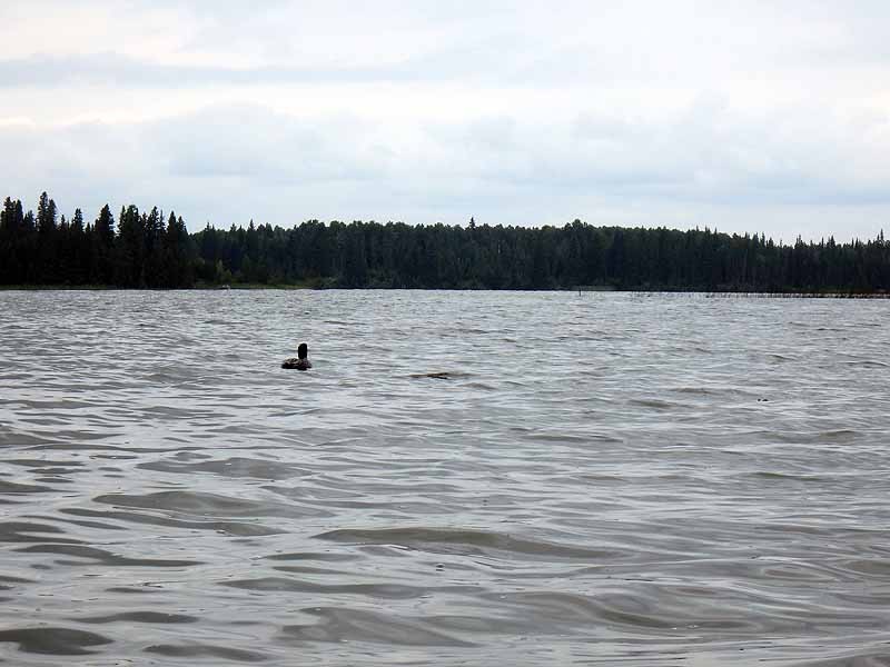 Crimson Lake Crimson Lake Provincial Park
