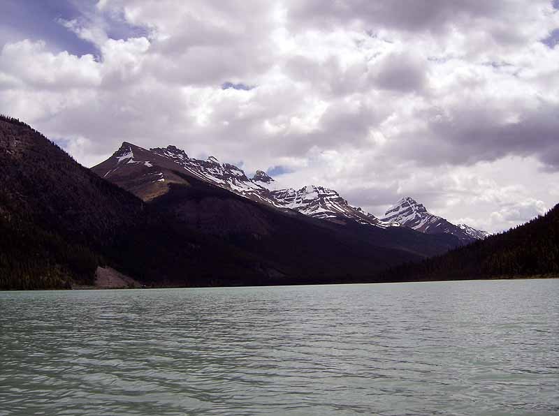 Waterfowl Lakes Campground or hwy 97 rest stop on side of lake