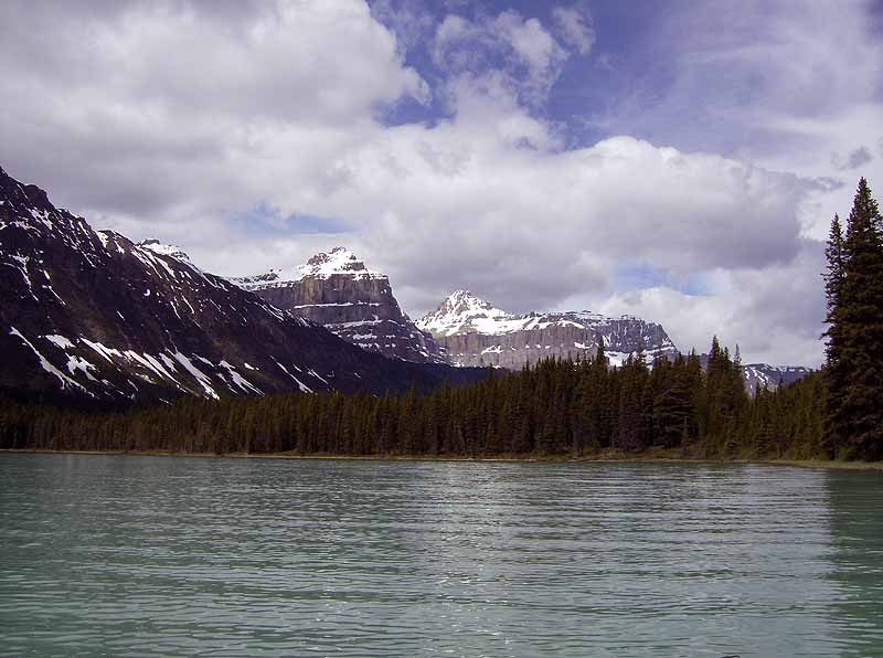 Waterfowl Lakes Campground or hwy 97 rest stop on side of lake