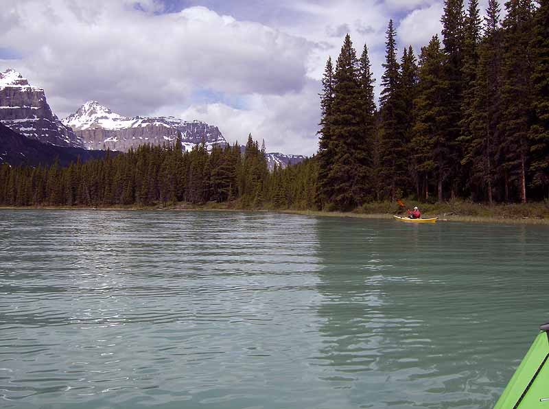 Waterfowl Lakes Campground or hwy 97 rest stop on side of lake