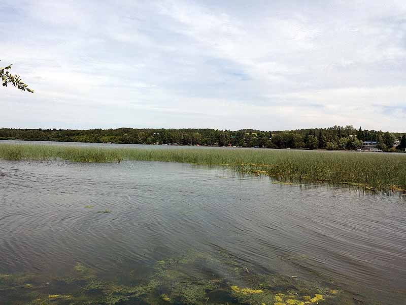 Pine Lake Taunton Hills Day Use Area
