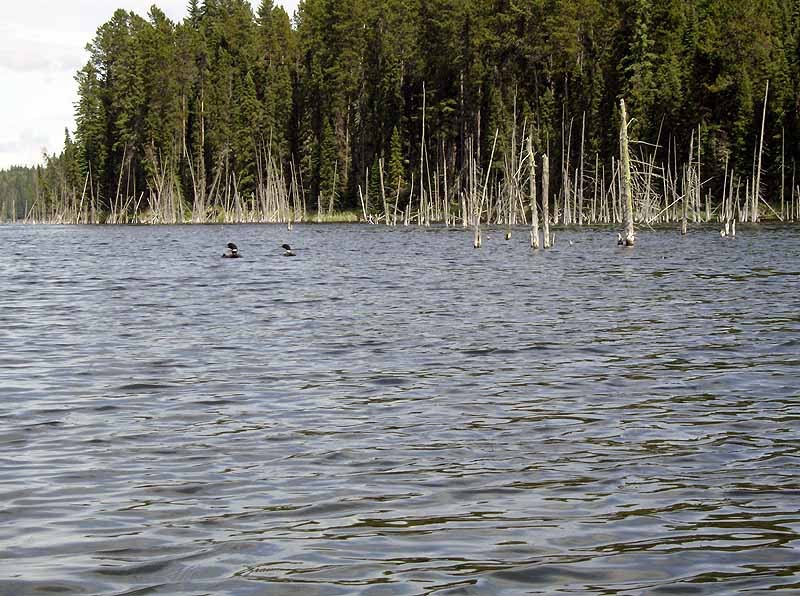 Burnstick Lake Burnstick Lake  Campground Boat Launch