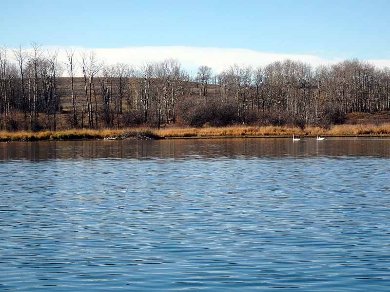 Sylvan Lake Sylvan Lake Provincial Park