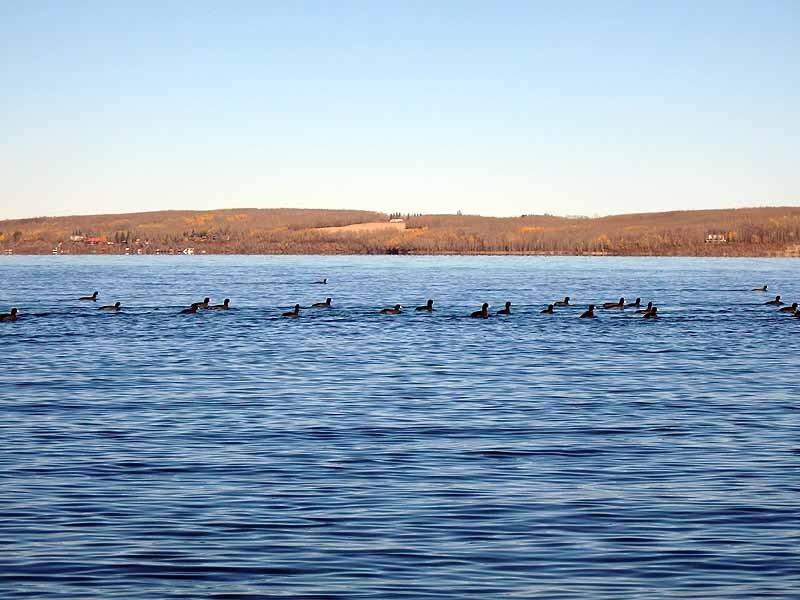 Sylvan Lake Sylvan Lake Provincial Park