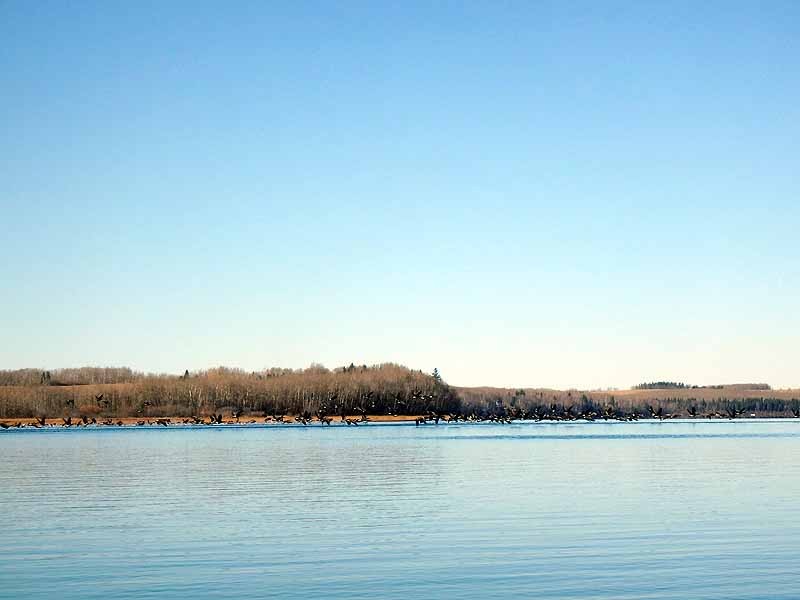 Sylvan Lake Sylvan Lake Provincial Park