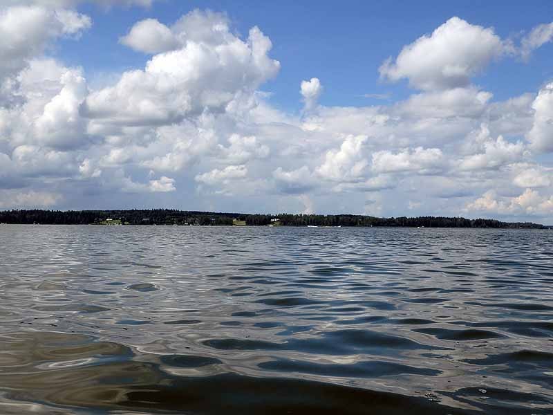 Buck Lake Calhoun Bay Provincial Recreation Area