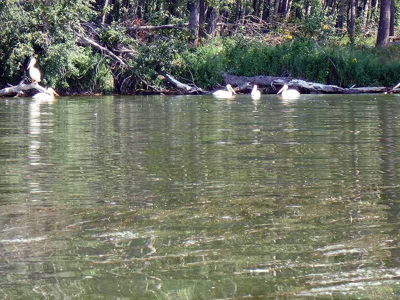 Buck Lake Calhoun Bay Provincial Recreation Area