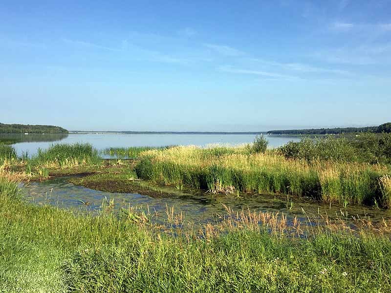 Buck Lake Calhoun Bay Provincial Recreation Area