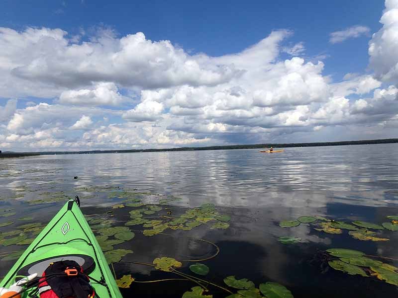 Buck Lake Calhoun Bay Provincial Recreation Area