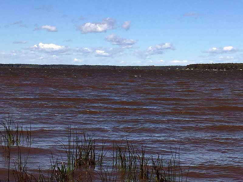 Buck Lake Calhoun Bay Provincial Recreation Area
