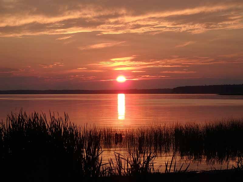 Buck Lake Calhoun Bay Provincial Recreation Area