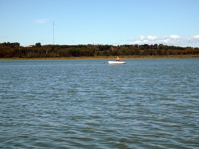 Gleniffer Lake Cottonwood Day Use