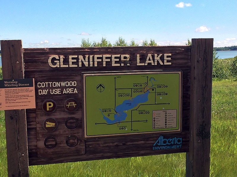Gleniffer Lake Cottonwood Day Use