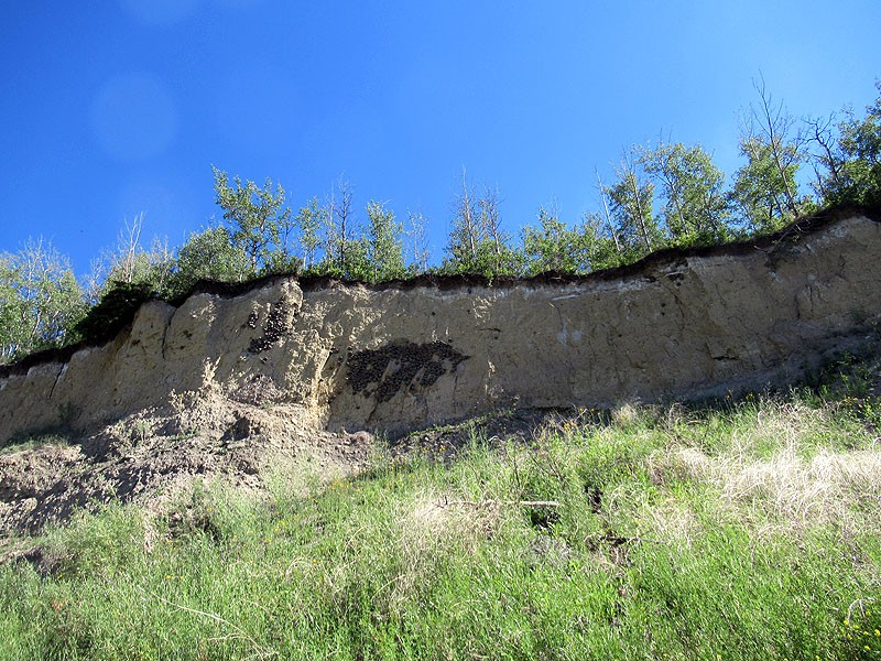 Gleniffer Lake Cottonwood Day Use