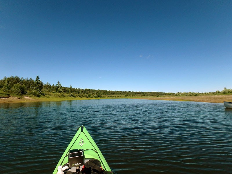 Gleniffer Lake Cottonwood Day Use