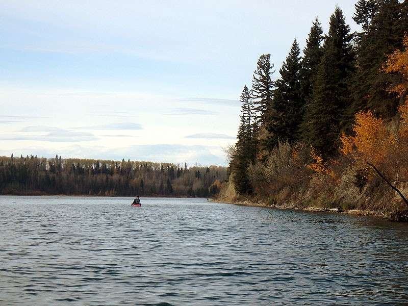 Gleniffer Lake Cottonwood Day Use