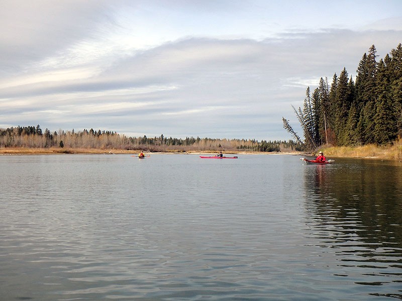 Gleniffer Lake Cottonwood Day Use