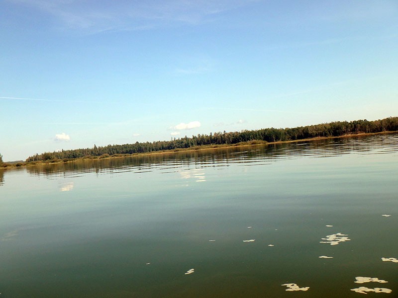 Brazeau Reservoir Brazeau Res. Campground Boat Launch