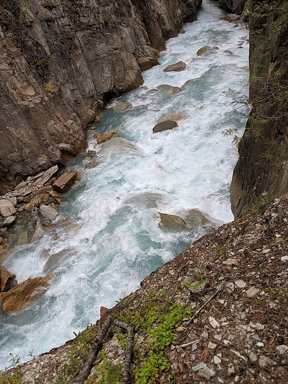 Blaeberry River Thompson Falls Section