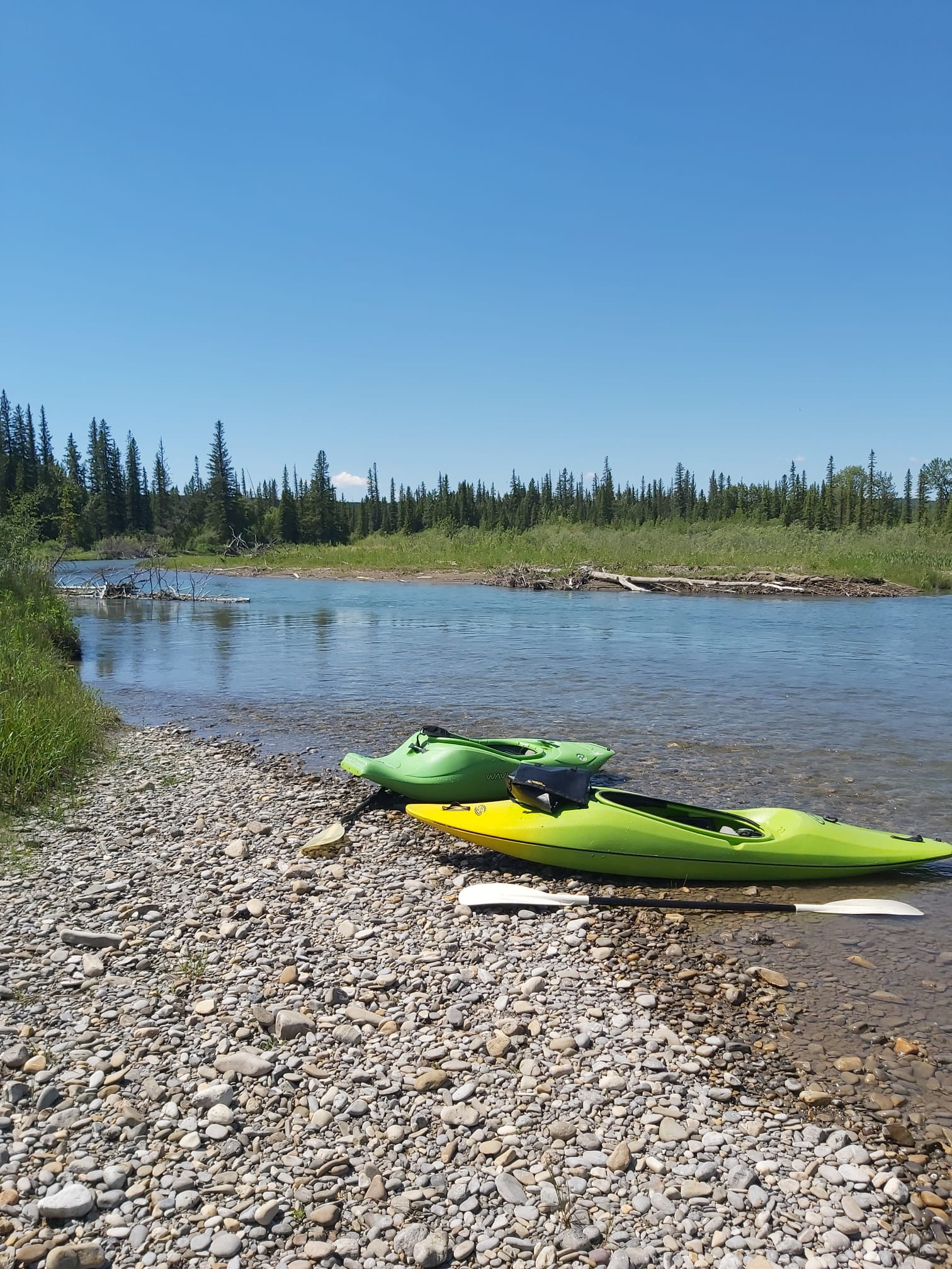 Elbow River Elbow Springs Golf Club to Weaselhead Flats