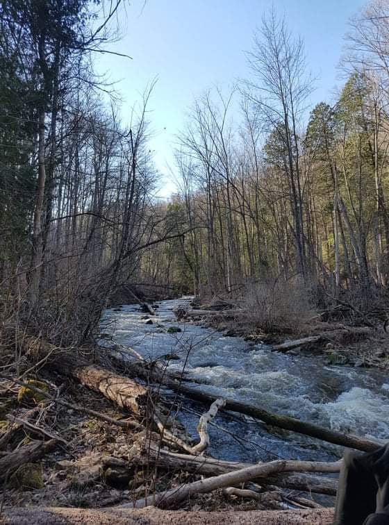 Nottawasaga River North Branch Hockley
