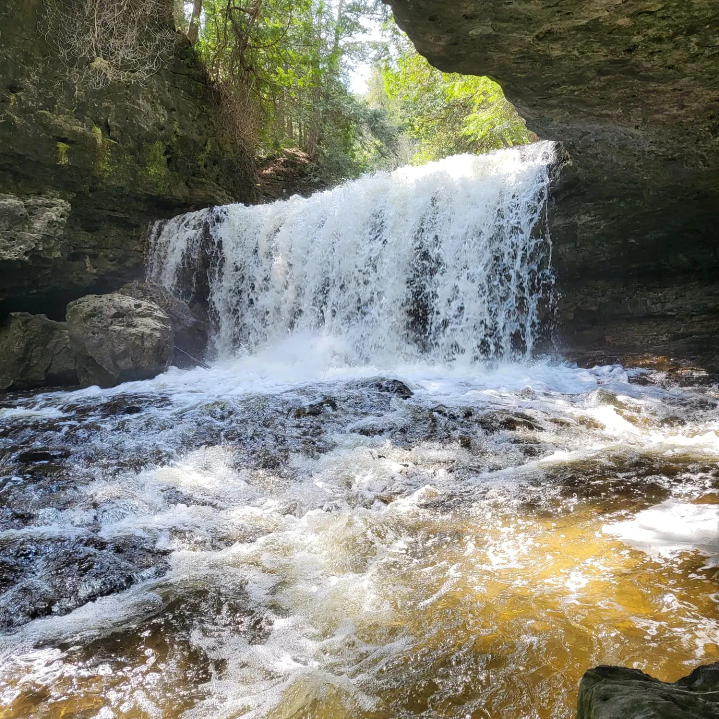 Nottawasaga River North Branch Hockley