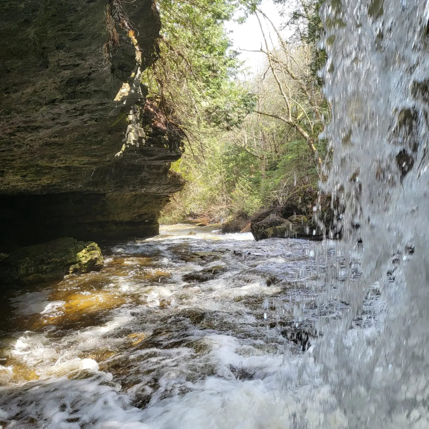 Nottawasaga River North Branch Hockley