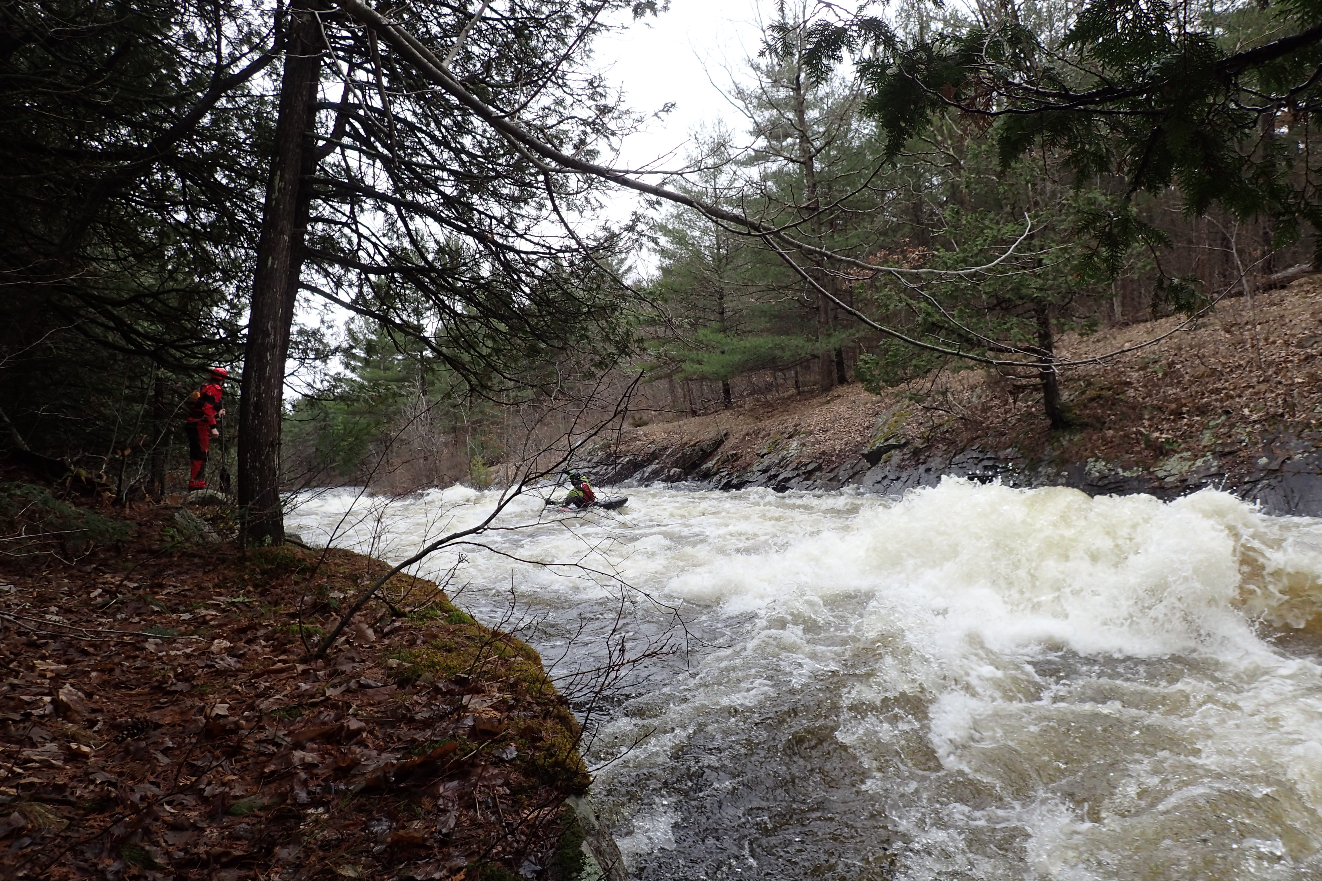 Salmon River Upper