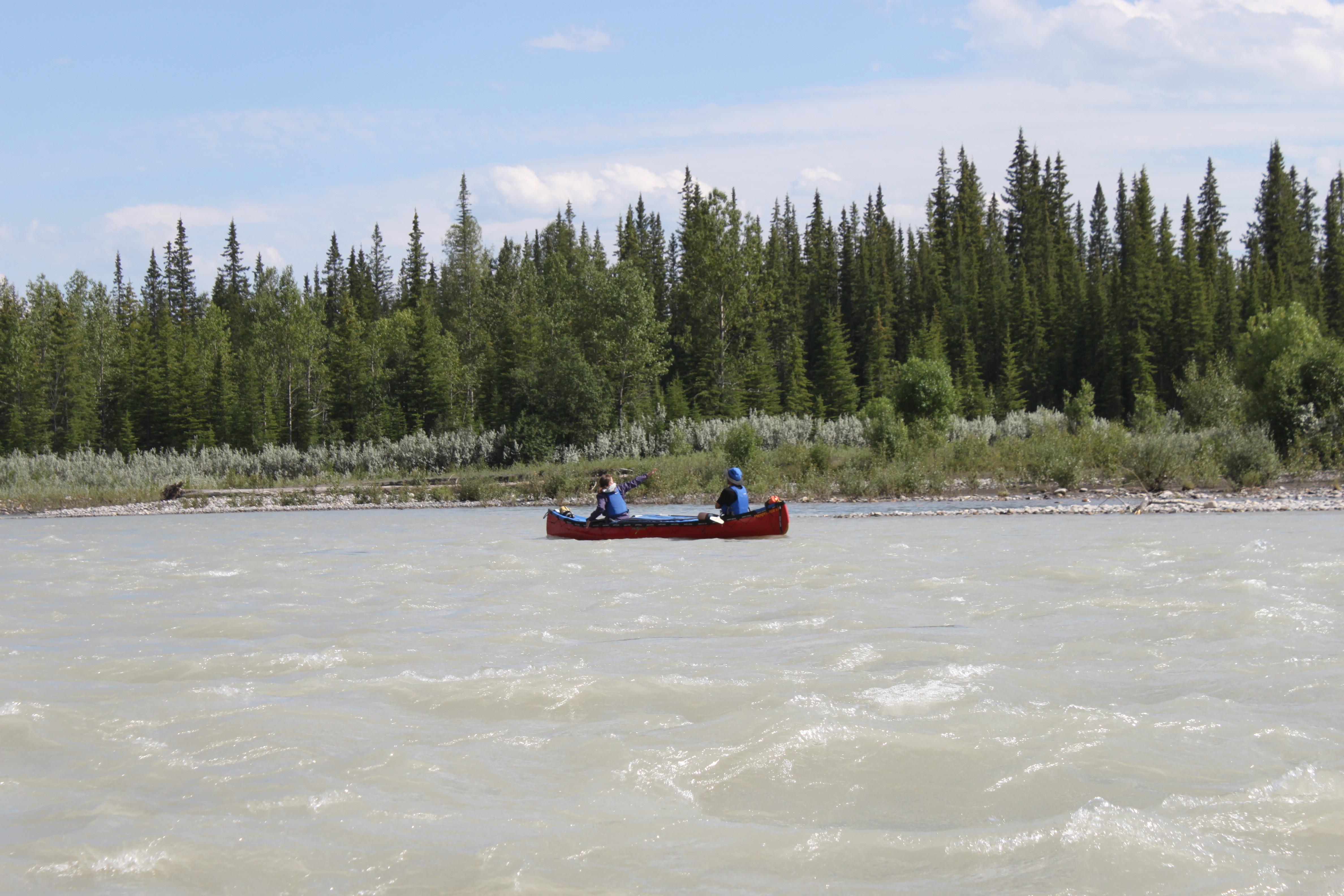 Brazeau River Forestry trunk road (Brazeau River camp ground)